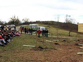 Estudiantes de Mieres plantan 940 árboles autóctonos en La Teyerona