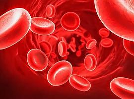 Sanidad financiará a partir del día 1 de marzo dos medicamentos para los pacientes con hemofilia B