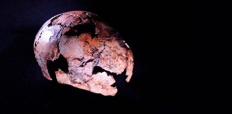 Nuevos fósiles envejecen 200.000 años al Homo Erectus