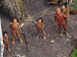 Survival: Protección de los territorios indígenas como “cuestión de vida o muerte"