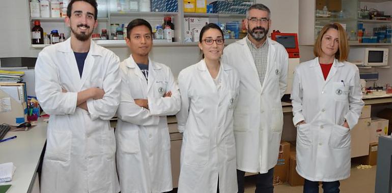 Fundación ”la Caixa” destina 1,8 M € a seis proyectos de investigación frente al coronavirus