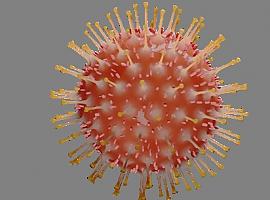 COVID-19: la potente hipótesis de la inmunidad cruzada