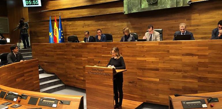 IU aplaude el Ingreso Mínimo Vital y pide reforzarlo desde Asturias