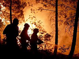 El abandono del medio rural está aumentando la vulnerabilidad ante los incendios forestales