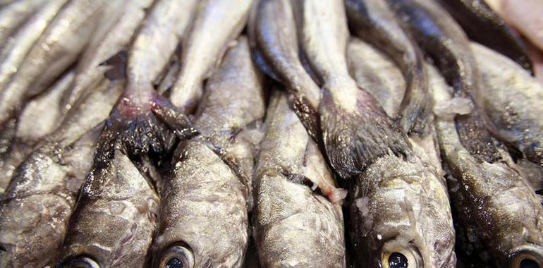 Comer pescado disminuye el riesgo de diabetes