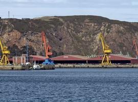 El Puerto de Gijón acoge el buque con mayor eslora de su historia
