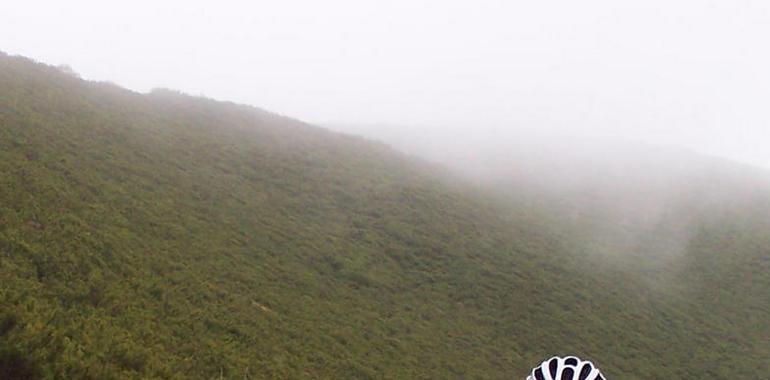 Cuitu Negru, la nueva apuesta del ciclismo asturiano