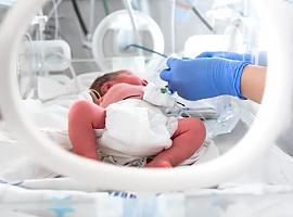 340 bebés nacen prematuros cada año en Asturias de media y la mayoría alcanza la edad adulta sin secuelas