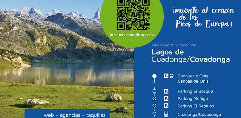 El plan de transporte a los Lagos de Covadonga ya está listo para llevarte a la cima