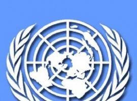 ONU elogia labor periodistas y blogueros en Oriente Medio 
