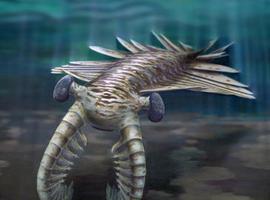 El primer gran cazador marino, el artrópodo con mayor agudeza visual hasta el momento