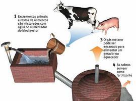 Informe favorable para una planta de aprovechamiento de biogás en Navia