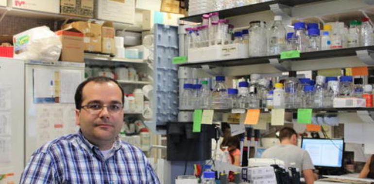 El microbiólogo ovetense Ángel Manteca recibe 1,3 M€ para buscar nuevos antibióticos