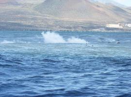El PEVOLCA mantiene la vigilancia de la erupción submarina de El Hierro