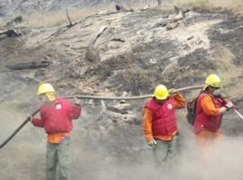 Se mantiene activo incendio en sector Pichiqueime, Región del Biobío 