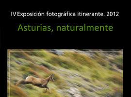Asturias, naturalmente. Nueva exposición fotográfica itinerante