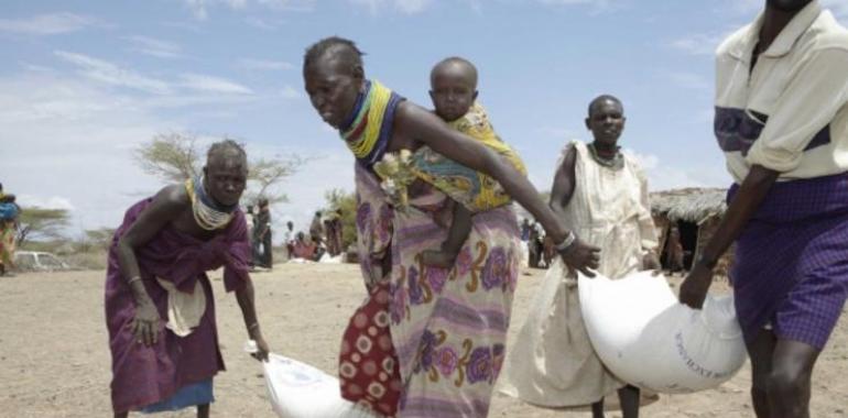 Denuncian que el retraso en la ayuda al Cuerno de África causó ya 50.000 muertes