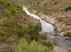 Denuncian falta de coordinación de España y Portugal en la planificación hidrológica del Guadiana