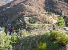 La restauración de escombreras en Tremor de Arriba, ejemplo en sostenibilidad e I+D+i