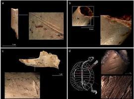 Los homínidos de Atapuerca y Bolomor tenían una variada \carta\ de presas hace ya 300 mil años