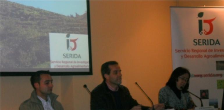El SERIDA presentó los resultados de la investigación del vino de Cangas