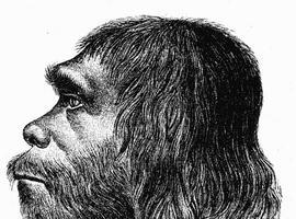 Las herramientas de los neandertales llegaron a los Urales