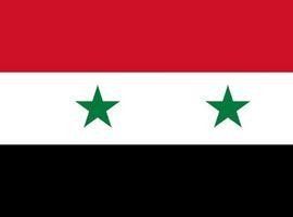 Siria celebra hoy el referéndum de Hassad mientras continúa la masacre