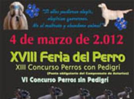 Feria del Perro y Concurso Canino en Tineo