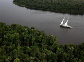 Greenpeace lanza una iniciativa ciudadana para pedir la deforestación cero en Brasil