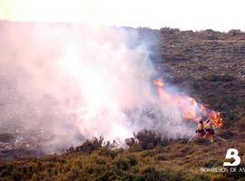 Efectivos de emergencias luchan contra 52 incendios forestales en Asturias