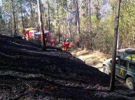 El incendio forestal de A Capela afecta ya a más de 500 hectáreas 