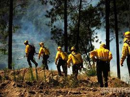 Greenpeace pide a la fiscalía que investigue las causas del incendio de las Fragas do Eume