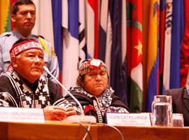 La CEPAL analiza la exclusión social del pueblo Mapuche