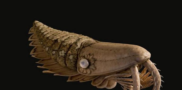 Hallan nuevos fósiles de una criatura marina gigante
