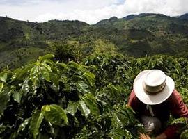 Nespresso renueva con el café de Calidad Sostenible™ de Colombia por cinco años más