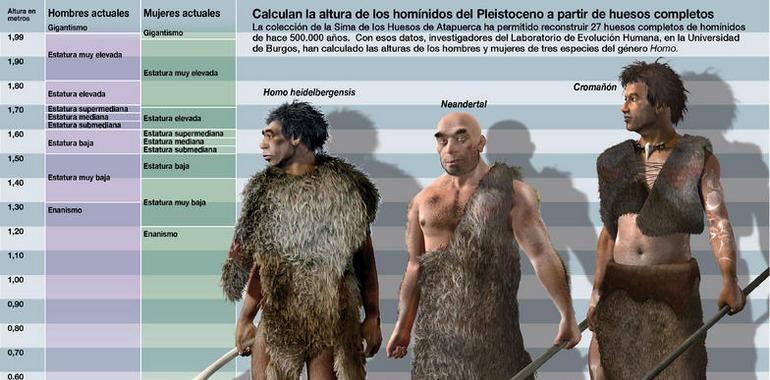 El Homo heidelbergensis era solo un poco más alto que el neandertal 