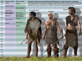 El \Homo heidelbergensis\ era solo un poco más alto que el neandertal 