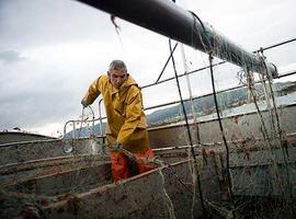 Greenpeace pide defender la pesca sostenible para garantizar el futuro de los océanos