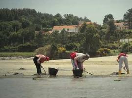 Greenpeace pide a la Xunta y al Gobierno apoyo a la pesca sostenible