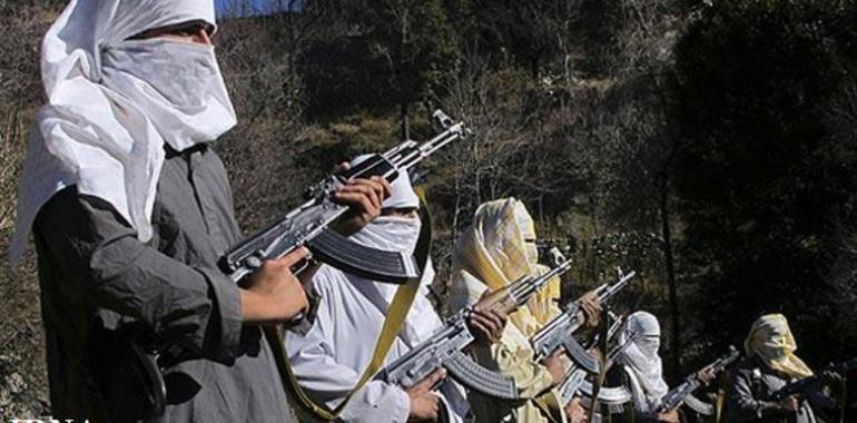 Pakistani Taliban commander shot dead in tribal region