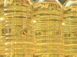 España ha conseguido convertirse en primer productor mundial de aceite de oliva