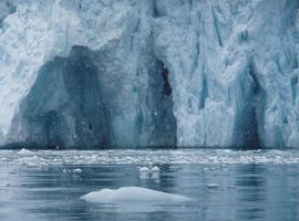 Las glaciaciones podrían influir más en la biodiversidad que el clima actual 