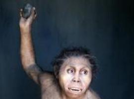 Descubren en Georgia las evidencias más antiguas de la presencia de Homo erectus
