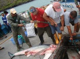 Autoridades interceptan un barco con pesquería ilegal de 28  tiburones en las Galápagos