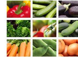 Verduras y hortalizas, de toda confianza