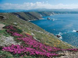 Turoperadores europeos especializados en turismo de naturaleza, salud y bienestar conocen Asturias 