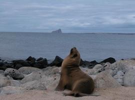 Las Galápagos ganan galardón internacional como “Mejor destino verde de Sudamérica”