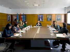 La Comisión de Comunicación Institucional del Principado de Asturias completa su representatividad