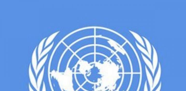 El PSOE insta al Gobierno al reconocimiento de Palestina como observador en la ONU