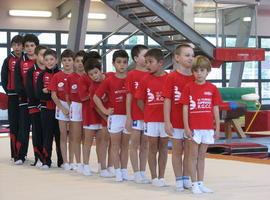 Resultados del Campeonato de Asturias de Gimnasia Masculina